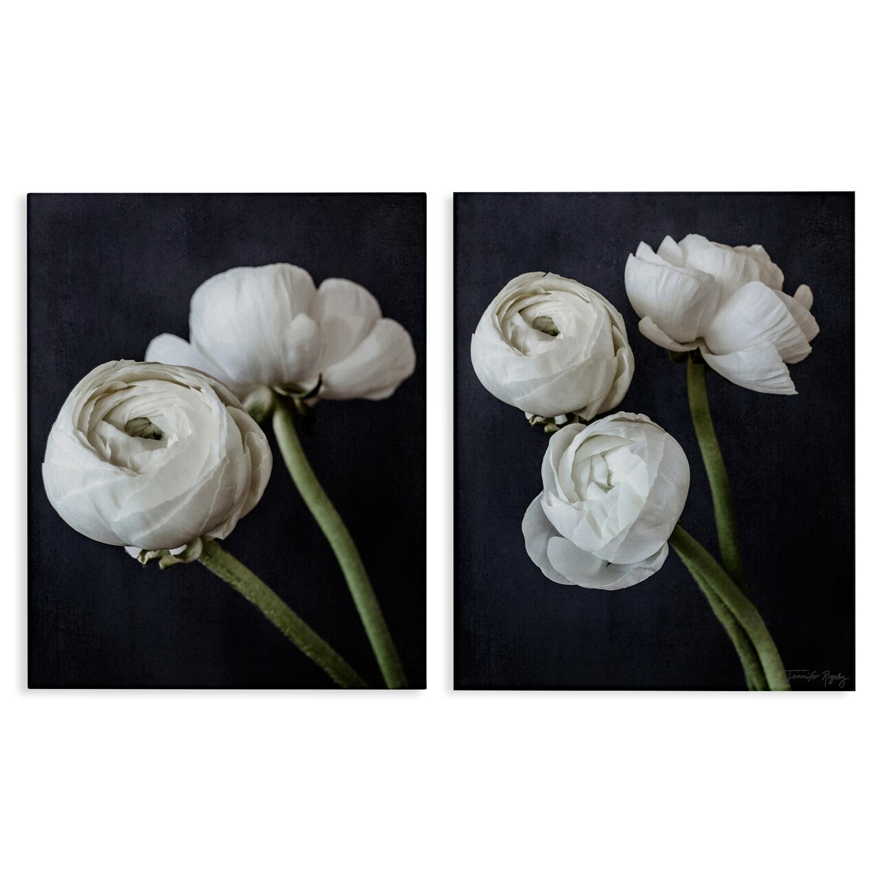 Stupell Industries Simple Black & White Peony 2 pc Canvas Wall Art Set Design by Jennifer Rigsby